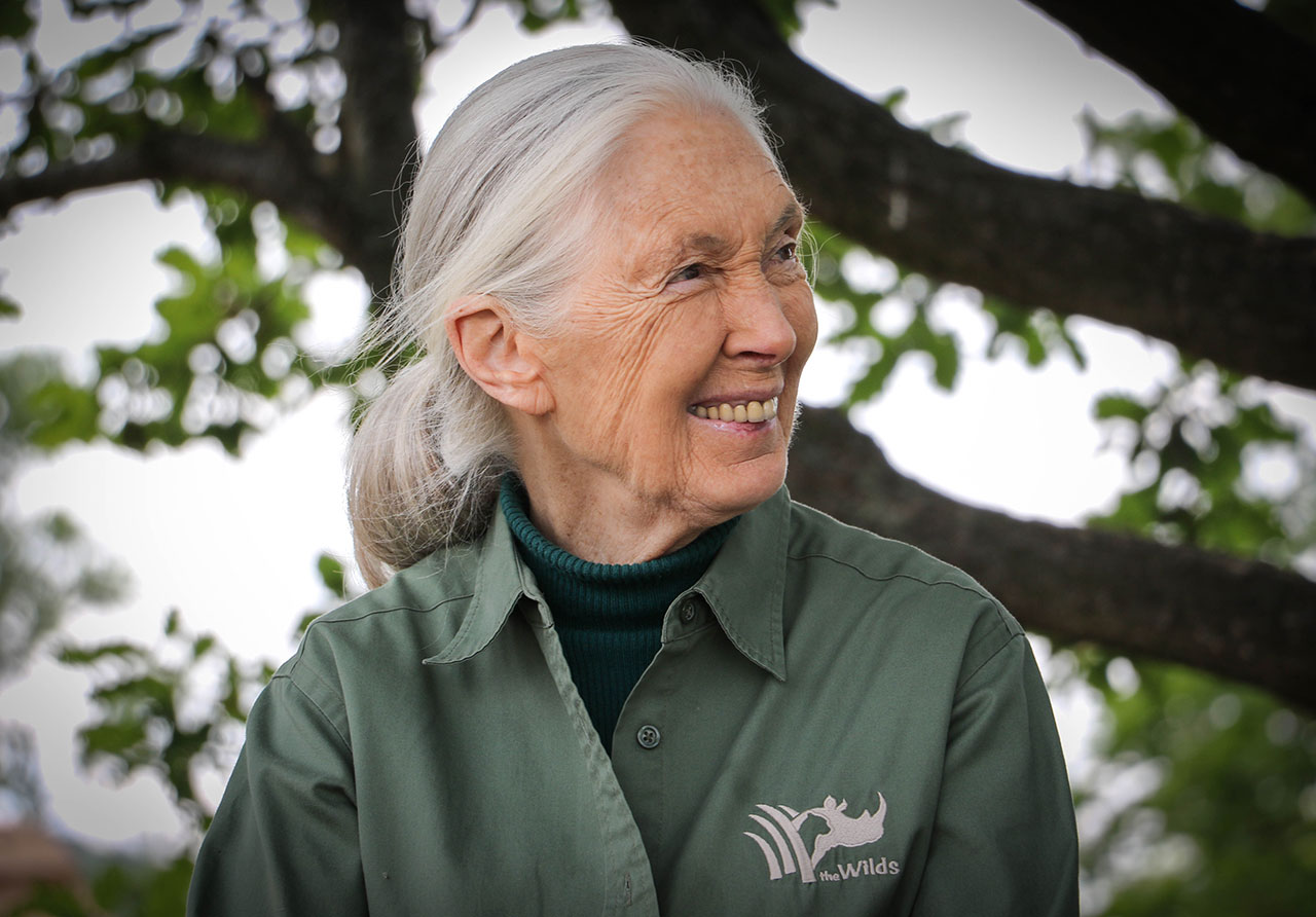 Dr. Jane Goodall